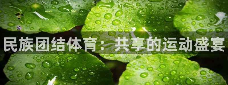 一竞技官方正版app神州:民族团结体育:共享的运动盛宴