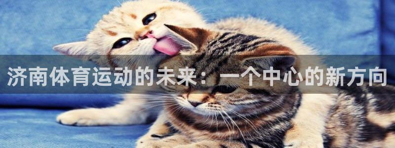 一竞技官方正版app集团官网首页网址:济南体育运动的未来:一