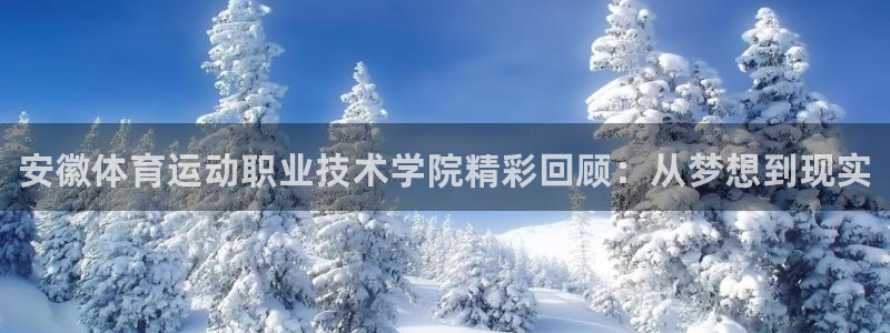 一竞技官网下载平台假的吗是真的吗吗:安徽体育运动职业技术学院