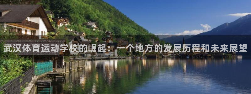 一竞技官网下载招商电话号码查询:武汉体育运动学校的崛起:一个