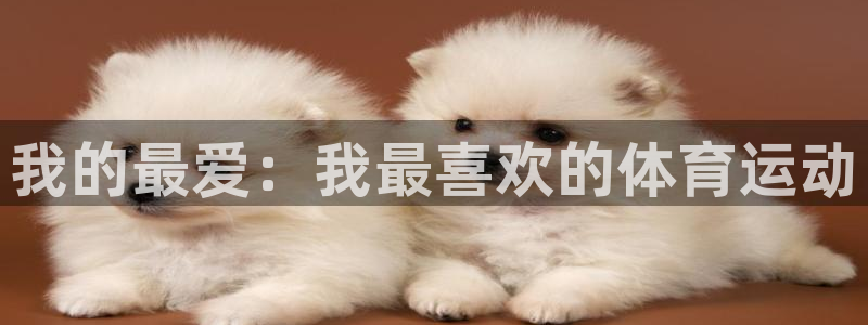 一竞技官网下载平台注册要钱吗安全吗:我的最爱:我最喜欢的体育