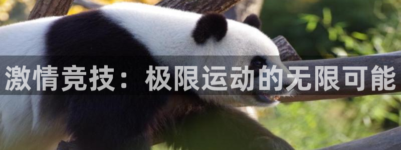 注册一竞技官方正版app:激情竞技:极限运动的无限可能